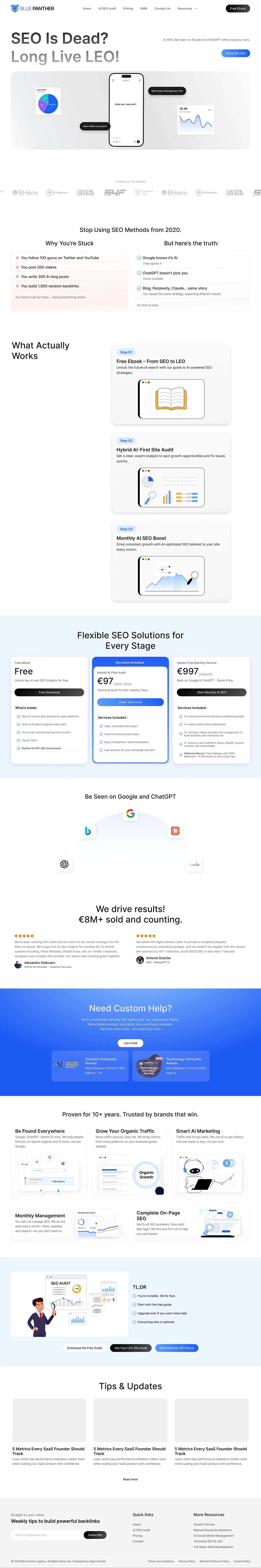 Blue Panther: homepage, top to bottom