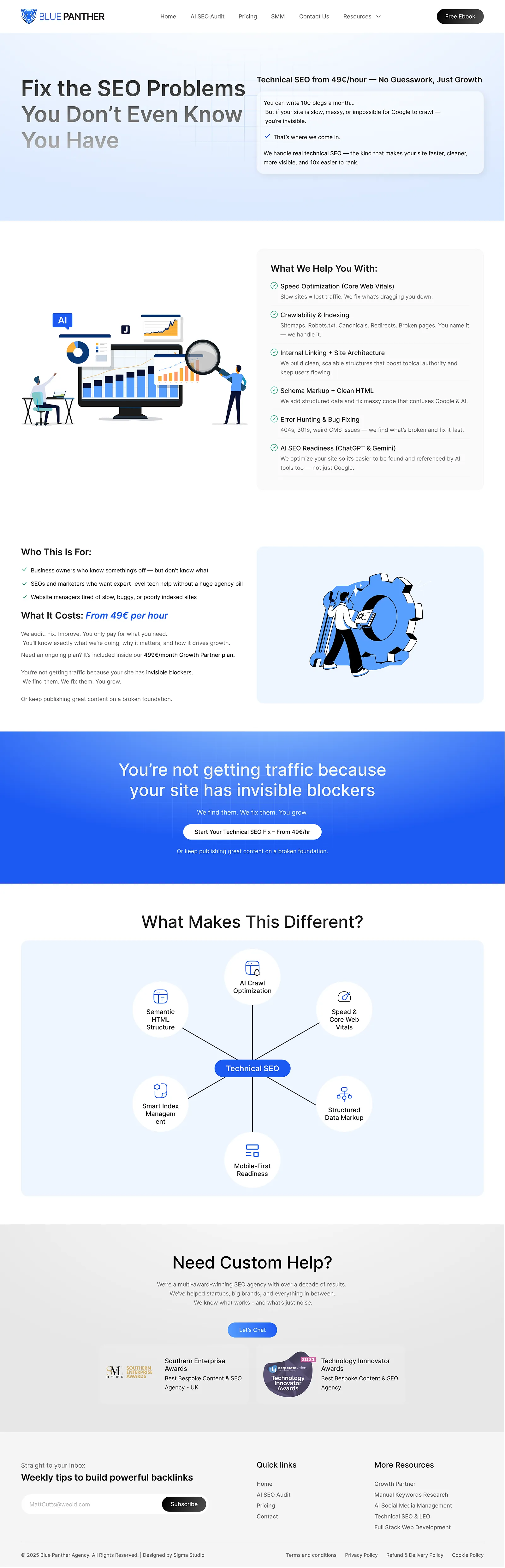 Blue Panther: technical SEO page