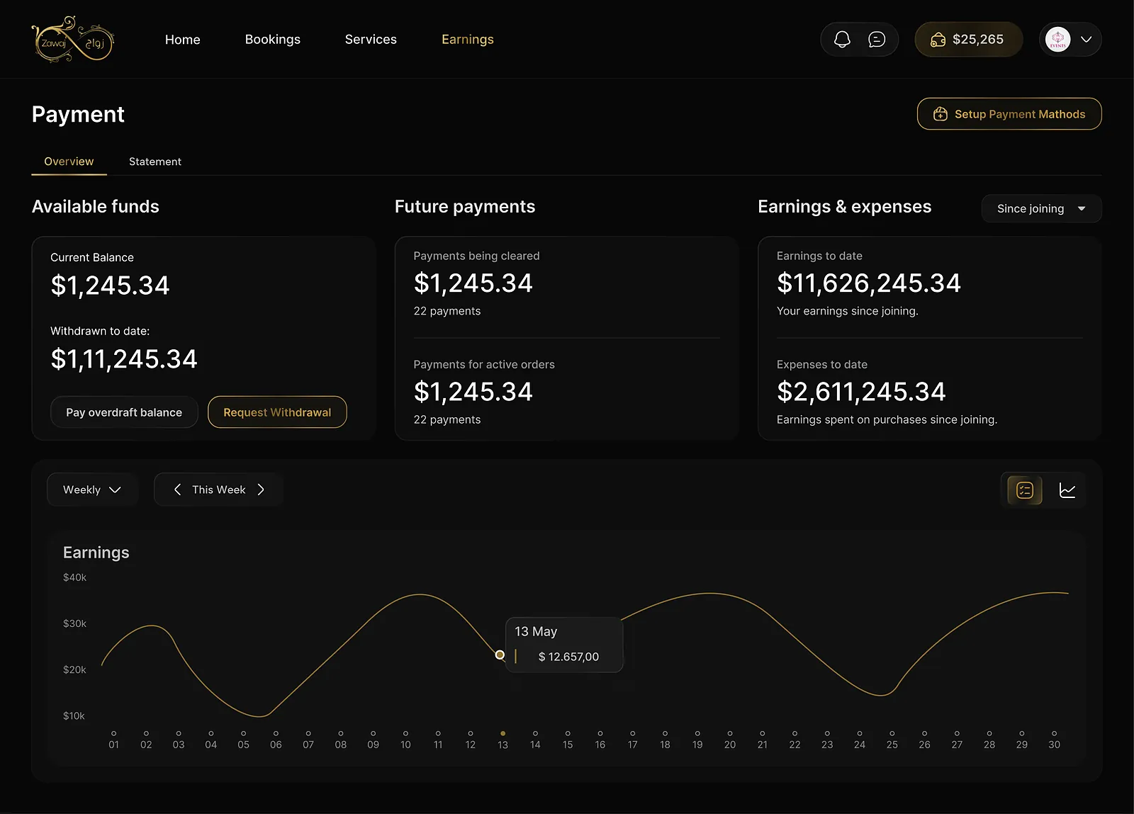 Bibaho: earnings overview chart